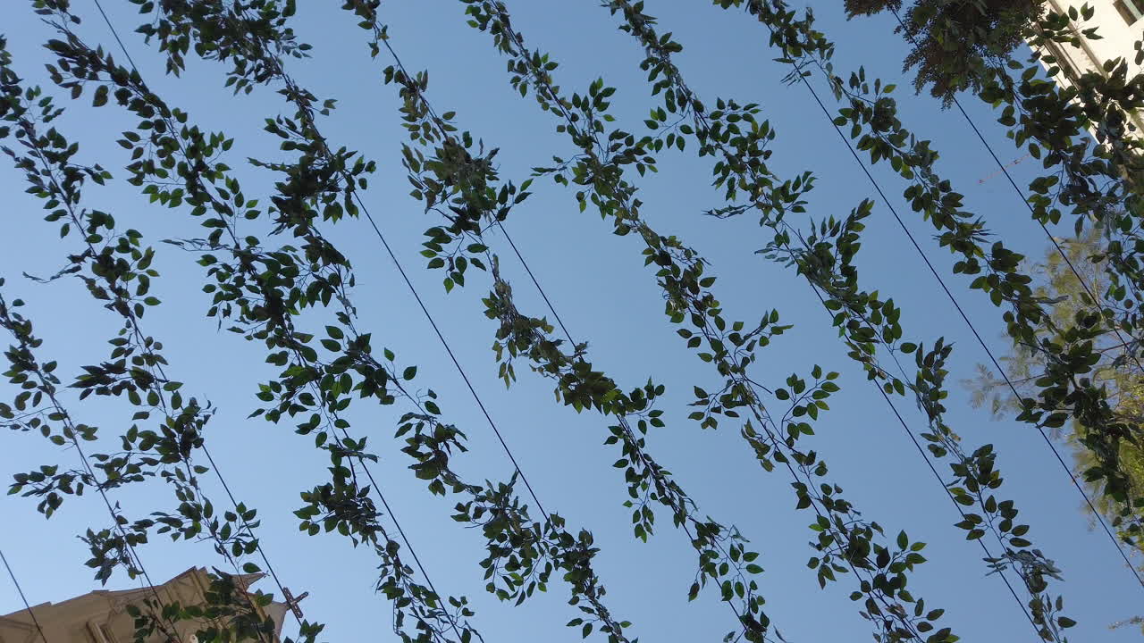 婚禮的室外裝飾