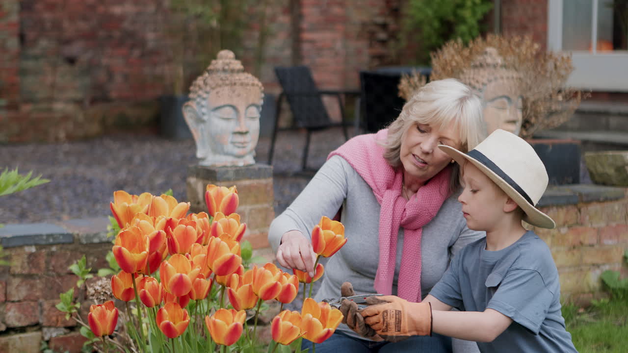 Grandmother and Grandson Gardening Together