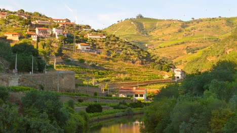 Lugar-Famoso-En-El-Valle-Del-Duero-En-Lugar-De-Gran-Producción-De-Vino---Pinhao,-Portugal