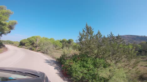 conduciendo por una carretera rural a través del bosque de strofilia en el suroeste de grecia del peloponeso, acercándose a la playa de kalogria