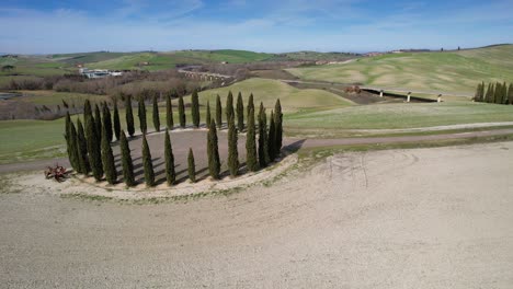 group of cypresses in tuscany near san quirico d'orcia. circular aerial view of cypress ring in val d'orcia. italy