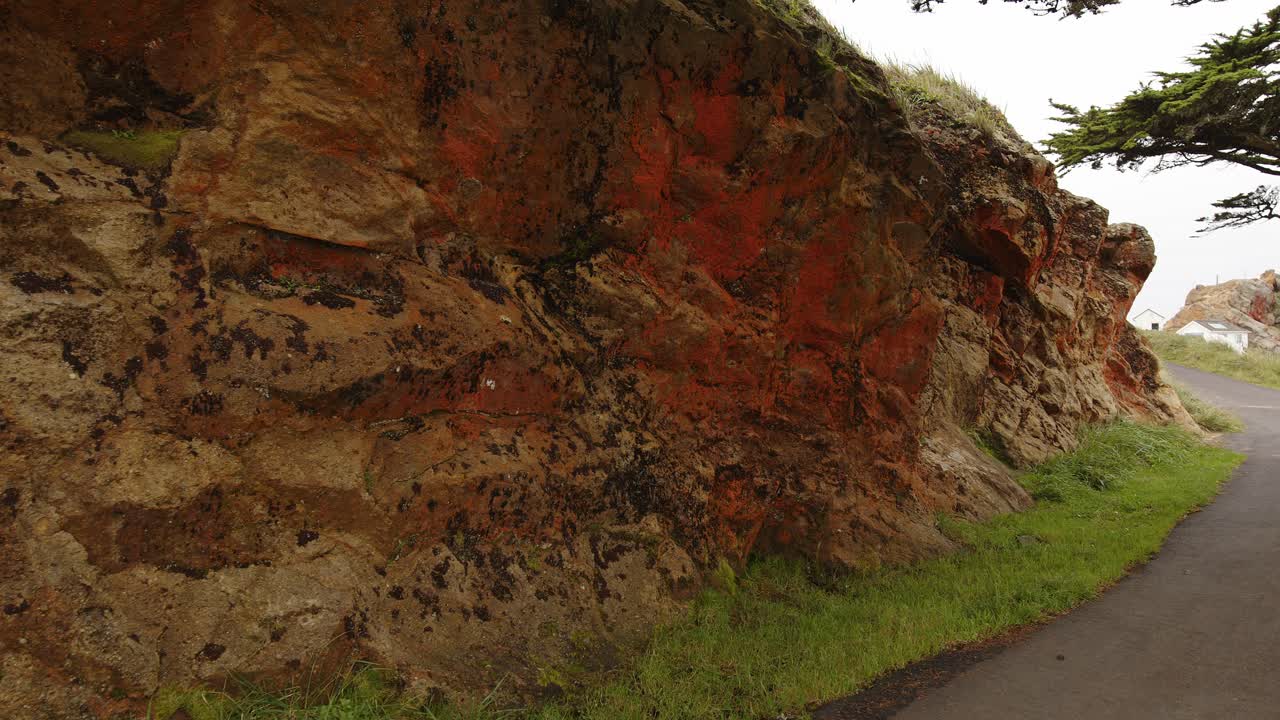 toma panorámica de la pared de roca cubierta de musgo y líquenes a lo largo de la carretera en el faro de point reyes