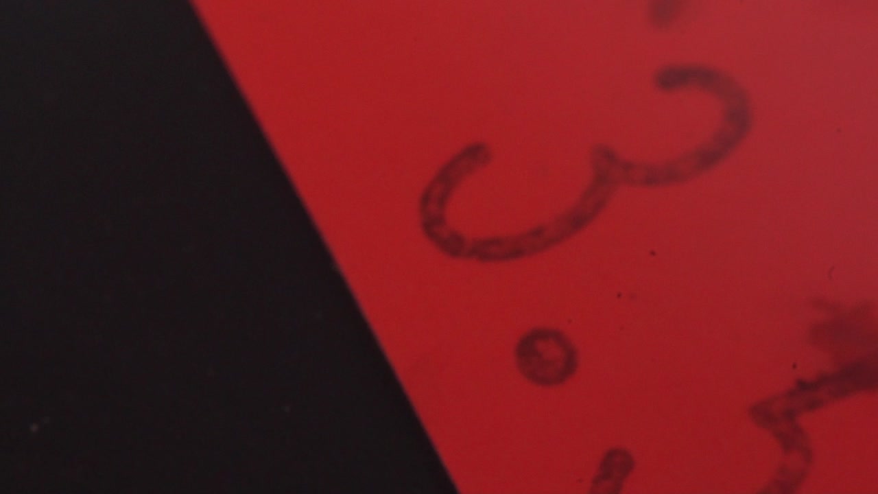 una foto macro de una etiqueta de precio