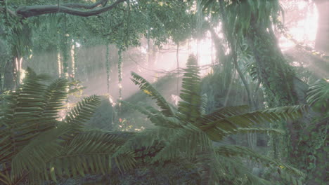 Lush-rain-forest-with-morning-fog