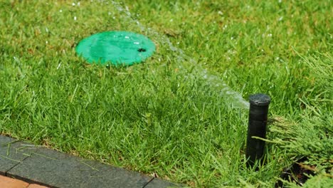 close-up of watering the garden, grass and flowers in the park, water drops in the sunlight. automatic watering system for the grass and flowers. drops of water are splashed in the sunlight.