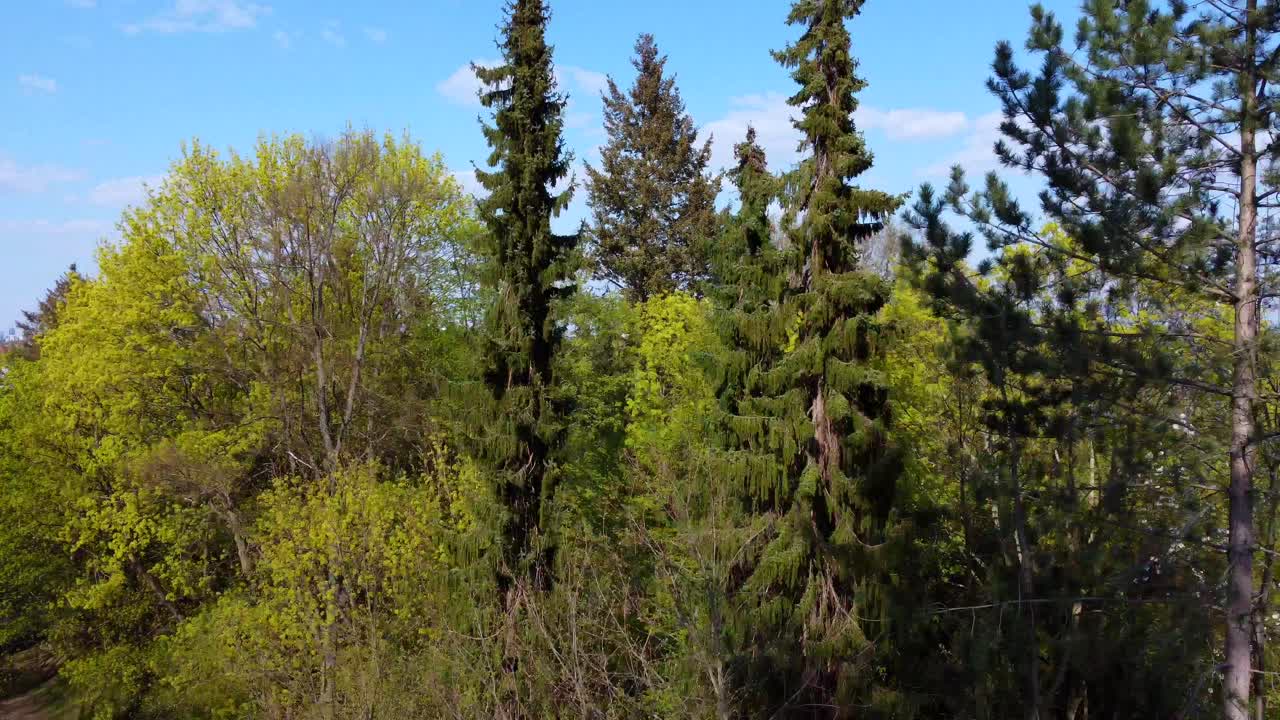 독일의 숲 뒤에는 실제로 무엇이 있습니까?