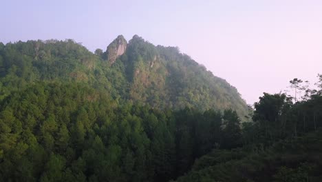 Luftaufnahme-Grüner-Bäume,-Die-Morgens-Auf-Einem-Von-Nebel-Umgebenen-Berg-Wachsen