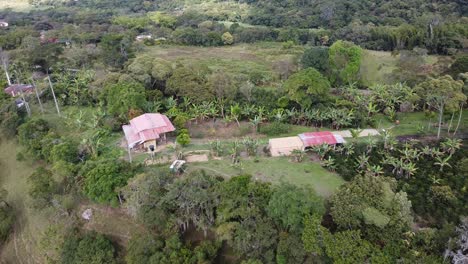 Coffee-and-plantain-farm-in-Boyaca,-Colombia