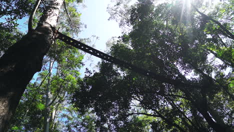 Una-Toma-Amplia-De-Un-Puente-De-Dosel-De-Lona-Recubierta-De-Caucho-Instalado-Al-Otro-Lado-De-La-Carretera-En-La-Selva-Tropical-Puthuhottam,-Valparai