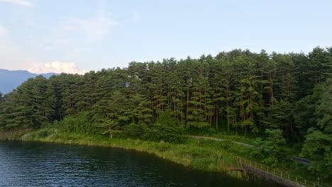 drone que se eleva sobre el bosque, revelando la ciudad de fujikawaguchiko, verano en japón
