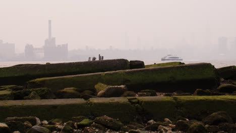 view of manhattan covered in smoke from wildfires seen from beach on the east river with mossy rocks in the foreground as ferry crosses frame