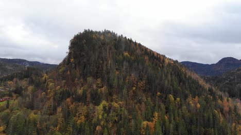 Una-Colina-Cubierta-De-Bosque-En-Otoño