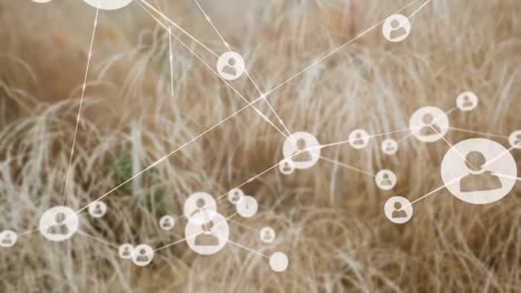 Animation-of-network-of-connections-with-people-icons-over-grass