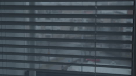opening interior window blinds on a cold rainy day