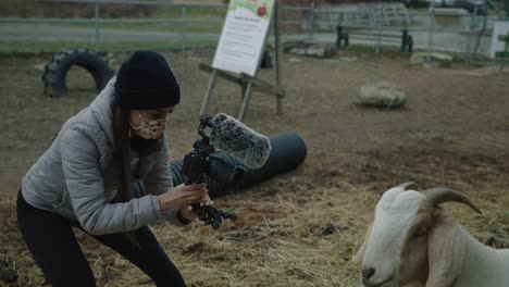 Una-Joven-Con-Una-Cámara-De-Mano-Tomando-Una-Foto-De-Cerca-De-Una-Cabra-Boer-En-Una-Granja-Rural-En-Coaticook,-Quebec,-Canadá---Tiro-Medio,-Cámara-Lenta