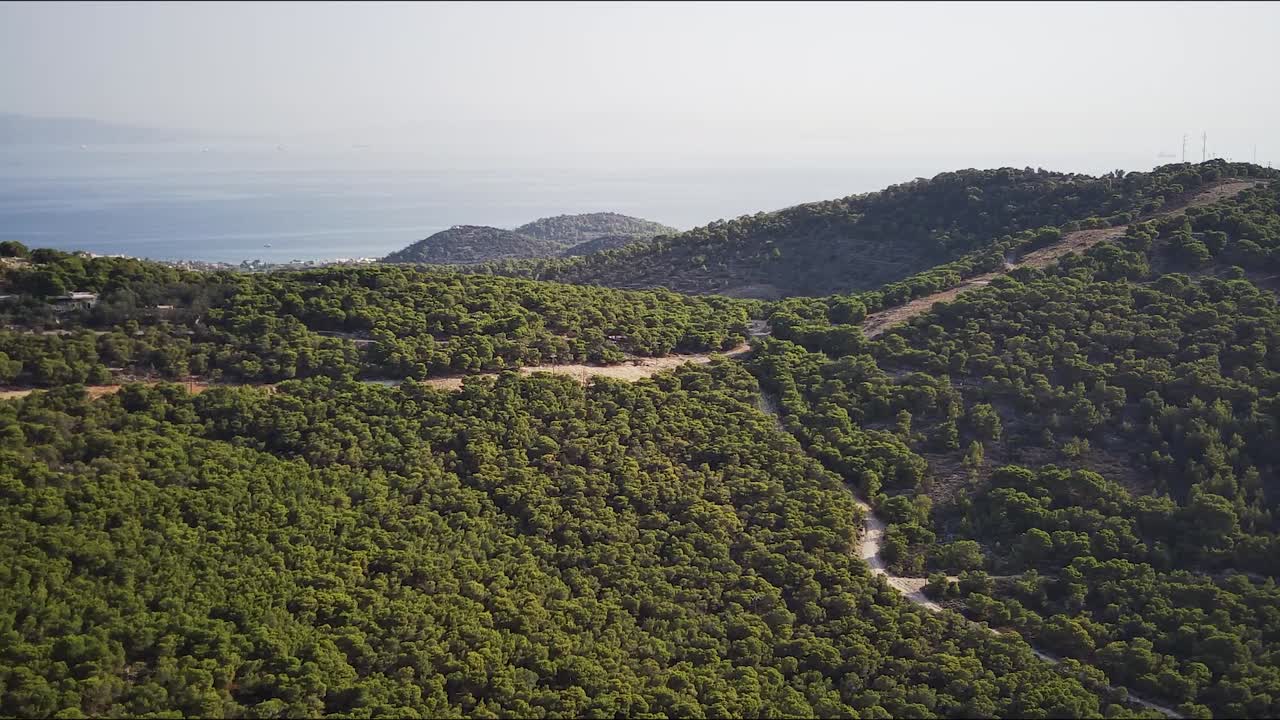 Veduta aerea di una splendida foresta ad Agia Marina in una giornata di sole