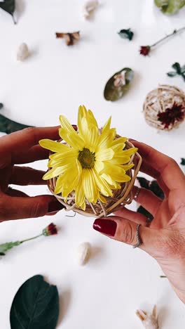 yellow daisy in a woven basket