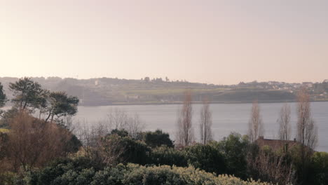 plano general del río douro con algunos edificios en vila nova de gaia en el fondo y algo de vegetación en primer plano