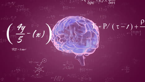 Modelo-Cerebral-Con-Animación-De-Ecuaciones-Científicas-Sobre-Fondo-Morado