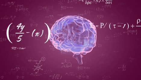 modelo cerebral con ecuaciones científicas animación en fondo púrpura