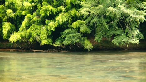 calm wide shot of river flowing