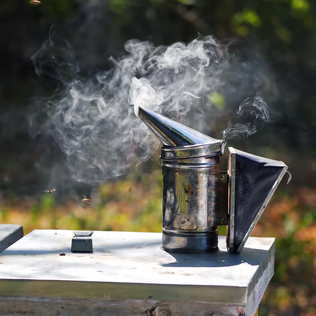 Chimney with smoke on a beehive. Smoker tool stands on a hive. Bees flying around. Beekeeping tool smoking. Apiculture concept