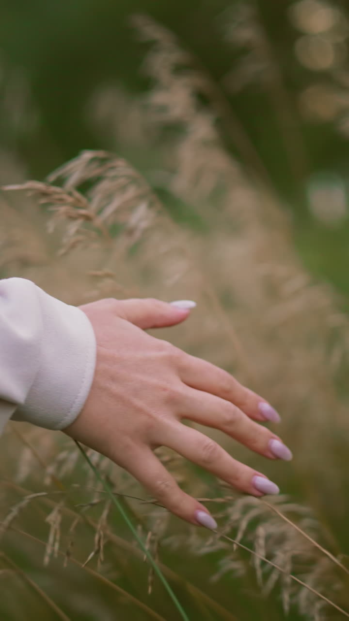 Elegant hand of lady gently touching golden grains in a lush field, creating a serene and peaceful moment in nature, the soft lighting enhances the warm and calming atmosphere of the rural landscape