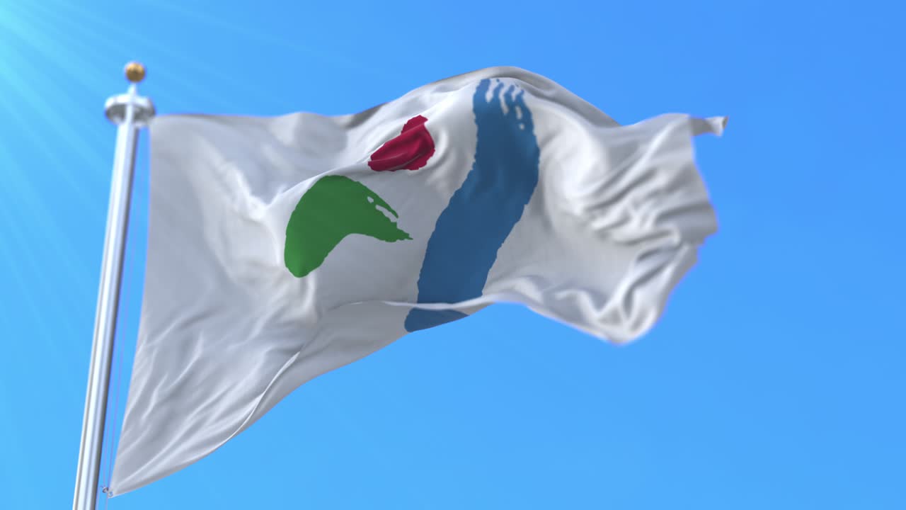 한국의 수도인 서울의 국기, 루프