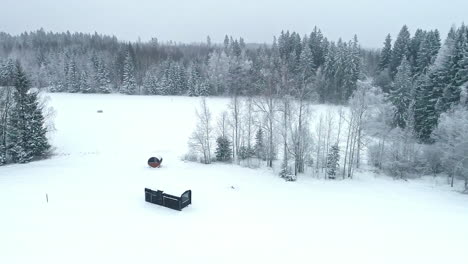 vista aérea de una cabaña solitaria en un claro de bosque cubierto de nieve en un paisaje de invierno