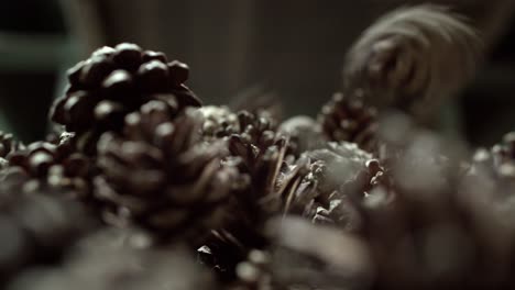 Pine-cones-closeup-fall-into-pile-after-passing-automated-extraction-process