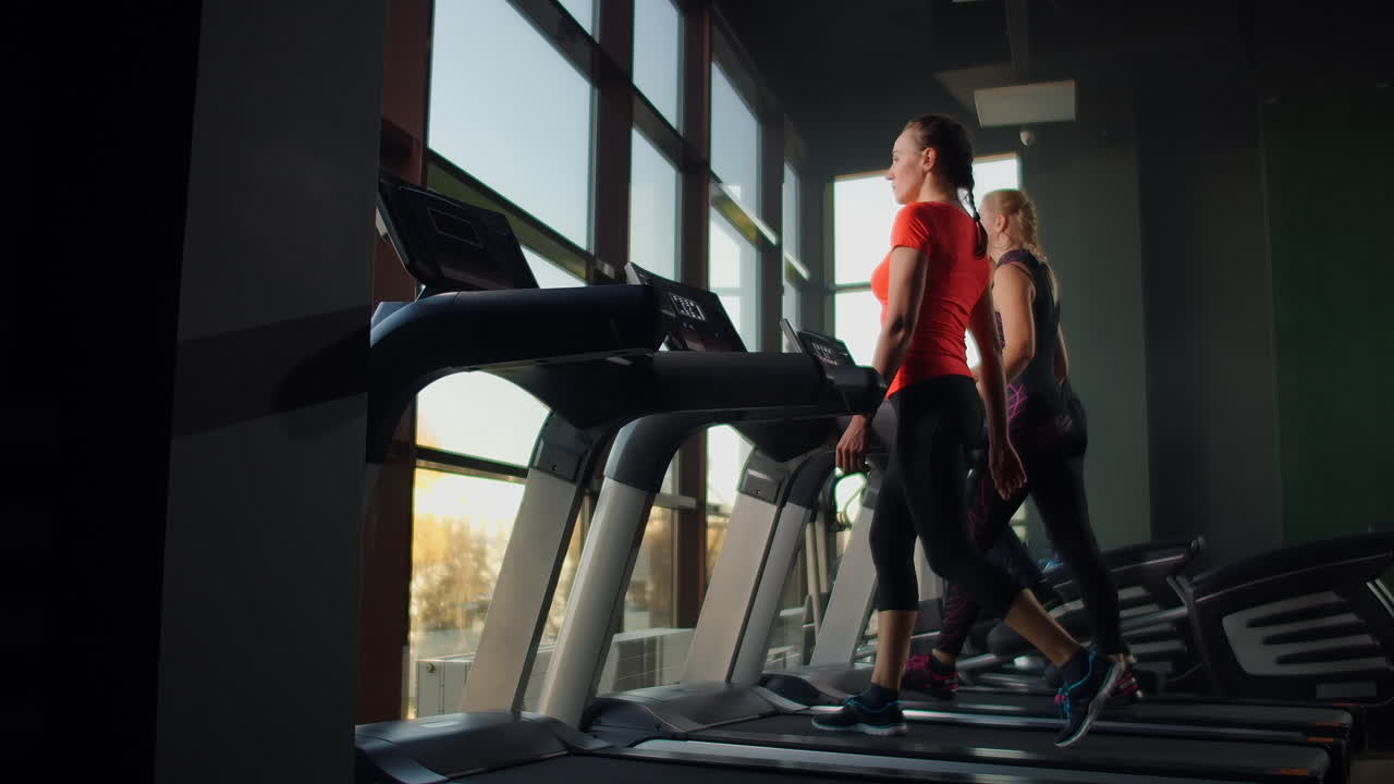 A group of people walking on treadmills near a large panoramic window. Group cardio workout. Start of fitness classes. Young beautiful women and men in sportswear in cardio fitness room.