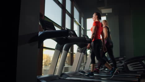 a group of people walking on treadmills near a large panoramic window. group cardio workout. start of fitness classes. young beautiful women and men in sportswear in cardio fitness room.