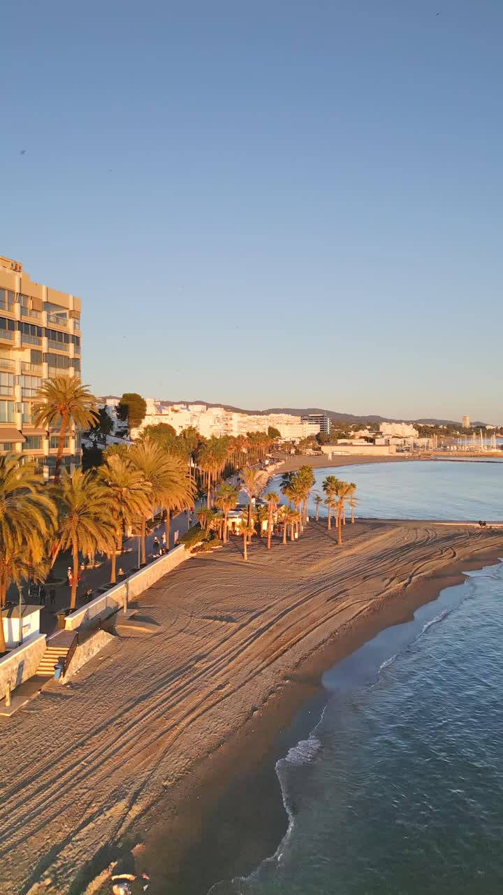 Vista aerea verticale della costa di Marbella, mare calmo e palme bagnate dalla luce dorata del sole, che cattura lusso sereno, architettura scenica e il vivace fascino mediterraneo