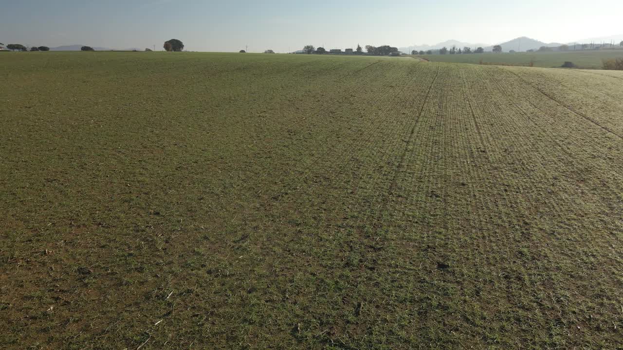 Aerial video of a newly seeded field with a dirt road in the middle and mountains in the background green Llagostera Gerona cultivated field