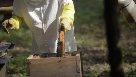 Apicultor-Abre-Caja-De-Abejas-Para-Inspeccionar-La-Colmena---Cámara-Lenta