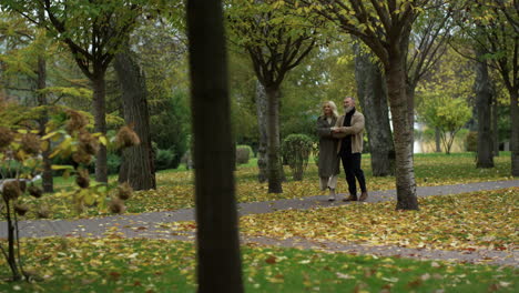 Close-up-view-of-autumn-nature-with-walking-happy-elderly-couple-in-background.