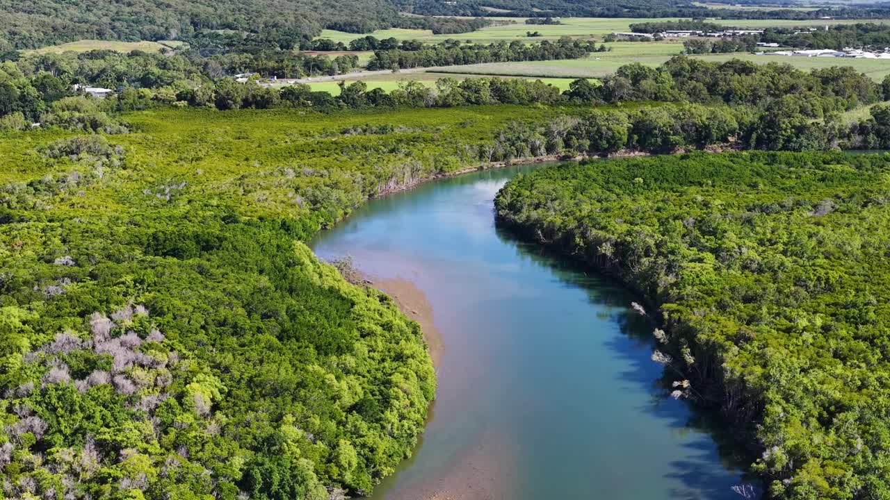 Drone footage captures a vibrant, winding river surrounded by dense greenery under bright daylight in Port Douglas, Australia