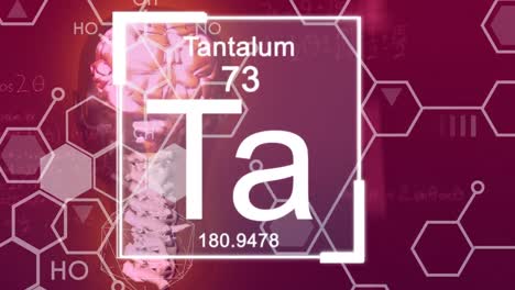 Animation-of-elements-and-chemical-formulas-over-human-model-on-burgundy-background