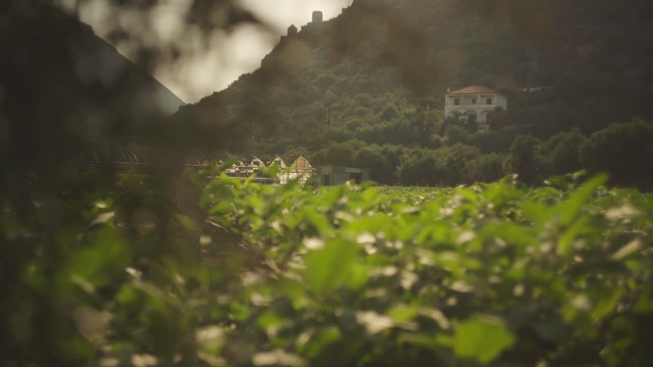 Static landscape of Leonidio countryside with plantation farm plants backdrop