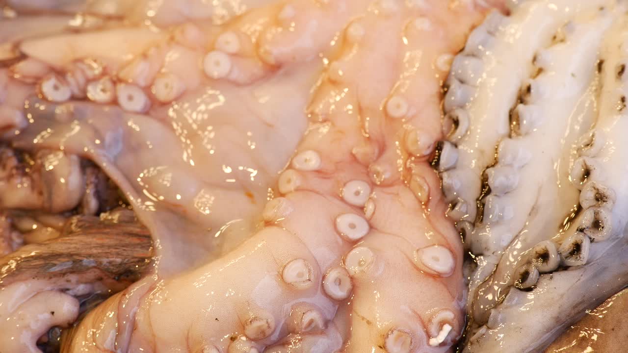 pulpo fresco en el mercado