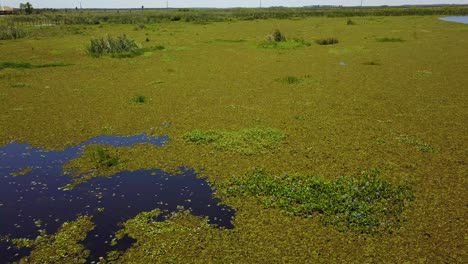 humedales del noreste de argentina disparados con drones