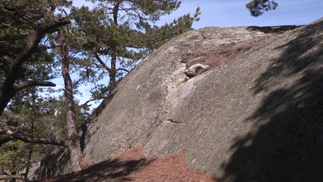 Bedrock,-granite-in-Finland-with-trees-and-moss