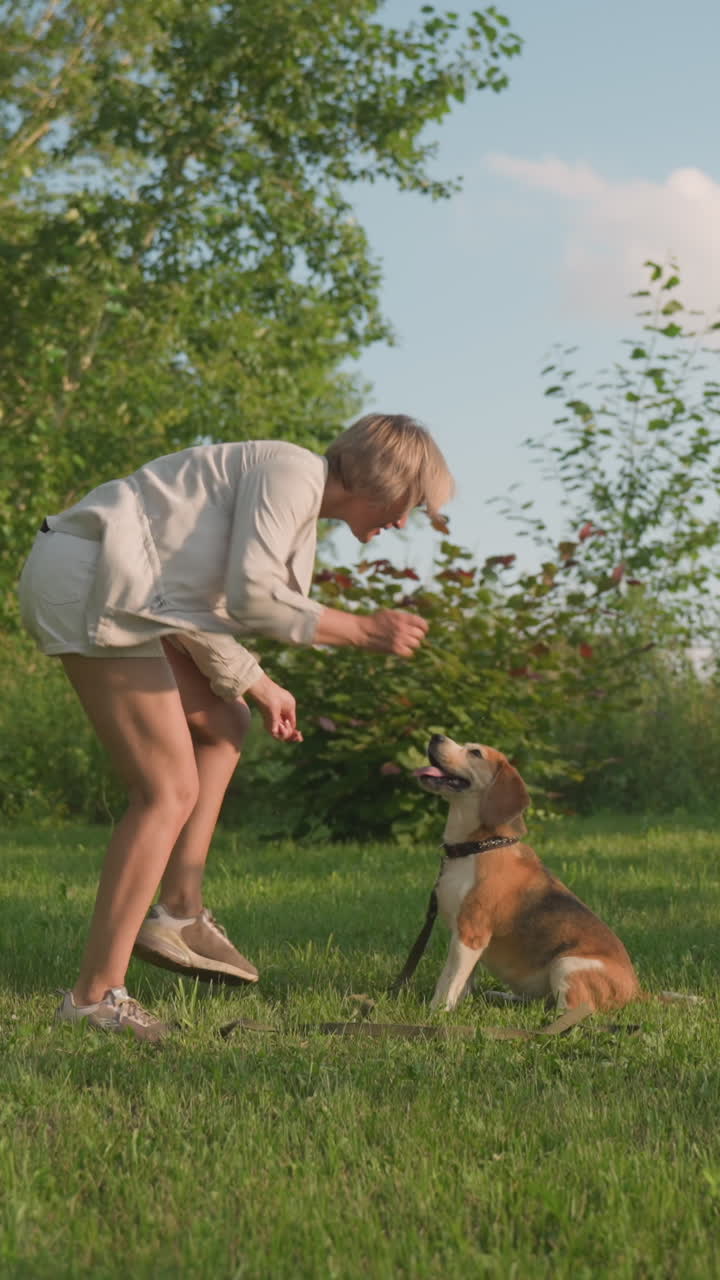 개 주인이 개 앞에서 기게 춤을 추고, 개의 머리를 잡고, 애정스러운 코 키스를 주며, 모두 울창한 초록색과 높은 나무로 둘러싸인 이 많은 야외 정원에서 놀이하는 순간을 즐기고 있습니다.