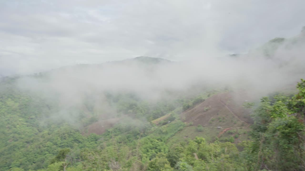 태국 메탕의 산 꼭대기에 있는 과 나무 위에 떠다니는 구름의 영화 촬영