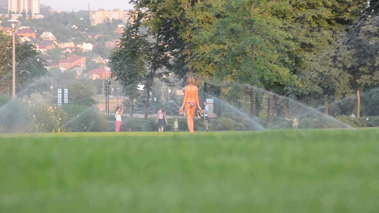 Irrigazione dell'erba