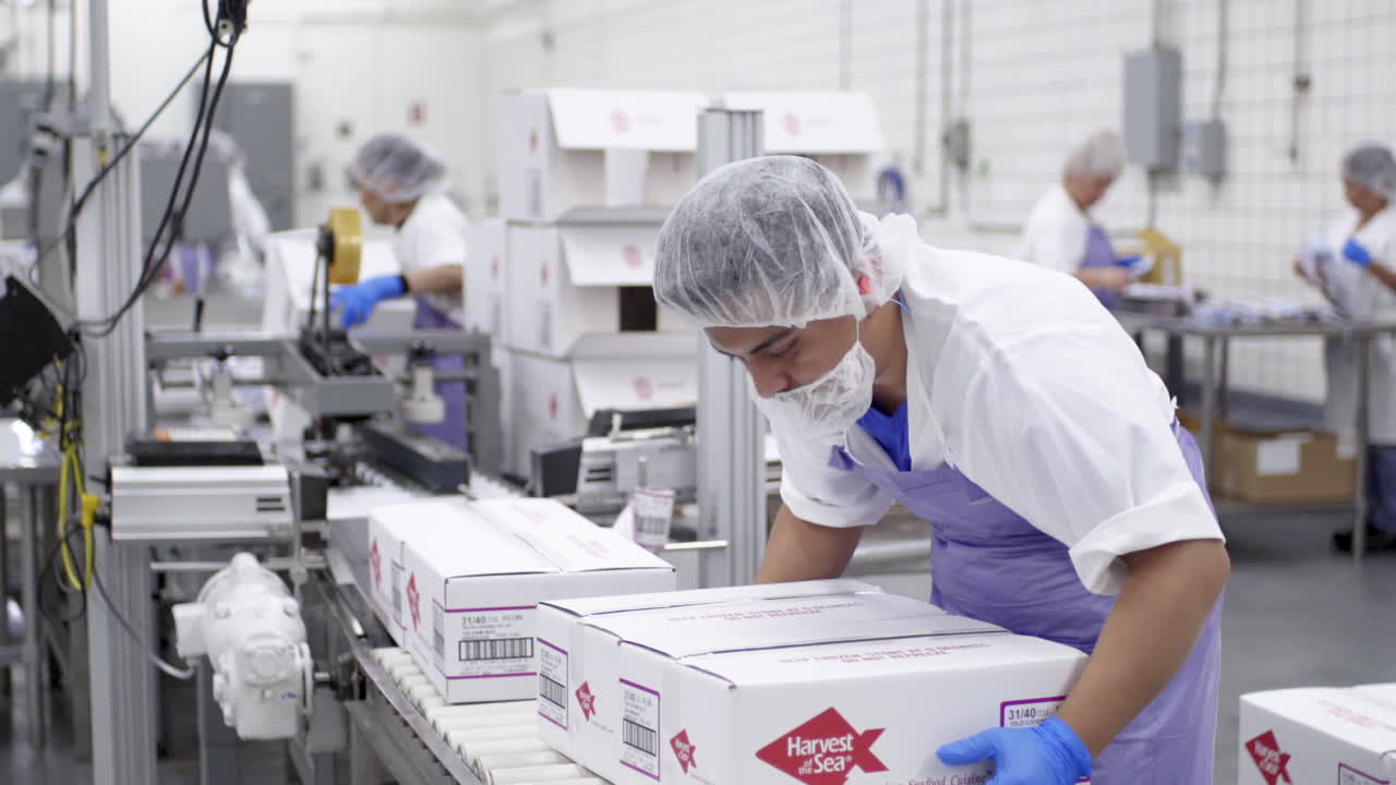 línea de producción de alimentos