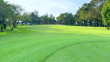 lush green fairway with distance marker