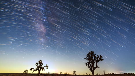 Sternspuren-überqueren-Den-Nachthimmel-über-Joshua-Bäumen-In-Der-Mojave-Wüste-In-Diesem-Epischen-Nächtlichen-Zeitraffer-Mit-Langzeitbelichtung