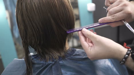 professional hairdresser cutting hair to female customer at design hair salon
