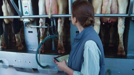 Dairy-worker-checking-milking-machinery-closeup.-Livestock-manager-using-tablet